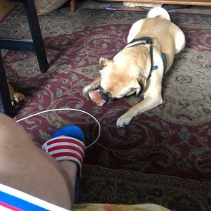 Meet your Posher, Jason